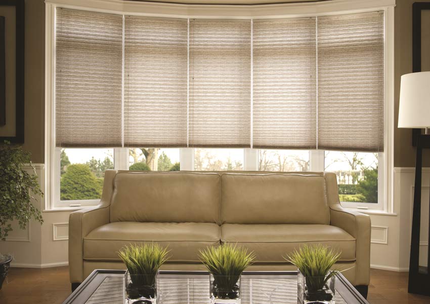 The Perfect Frame: Finding Your Blinds Shop Companion