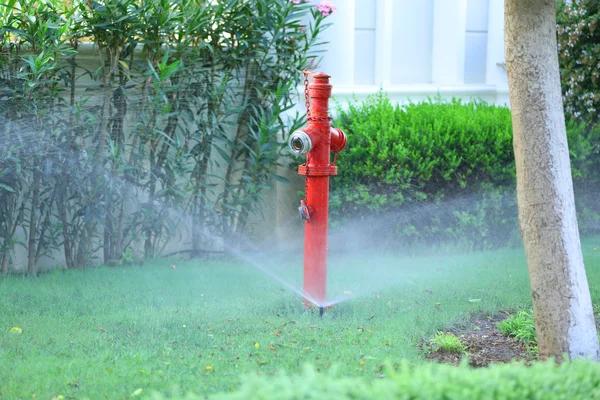 Water Leak Prevention: Simple Steps to Keep Your Home Safe