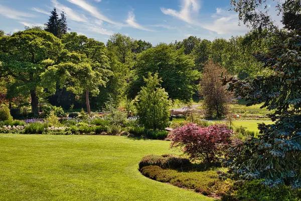 Harnessing Solar Power for Your Garden’s Irrigation Needs